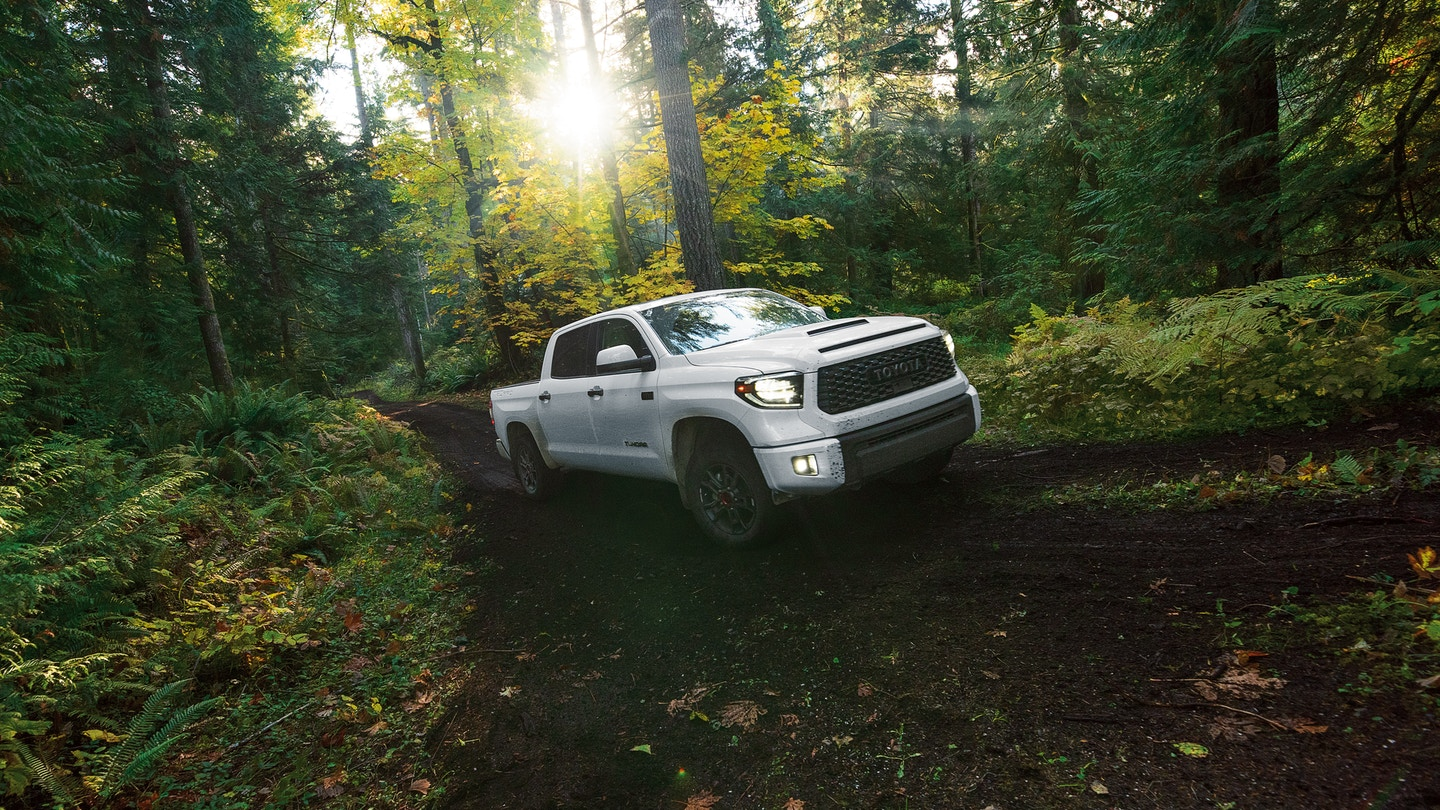 The representatives at used cars near Santa Ana pinpoint their favorite Toyota SUVs and pick-up trucks