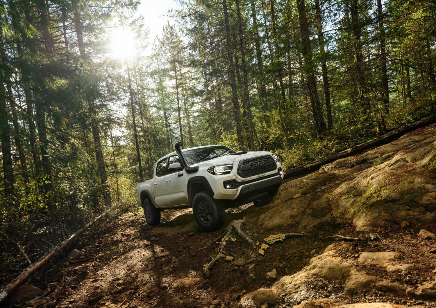 The car‌ ‌dealers‌ ‌near‌ Santa‌ Ana‌ have 15 reasons for purchasing the Toyota Tacoma TRD